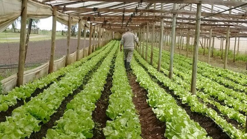 Jornada de capacitación para productores hortícolas