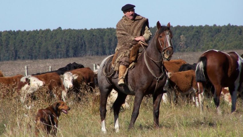 El campo pagará un bono de $ 2000 a los peones rurales