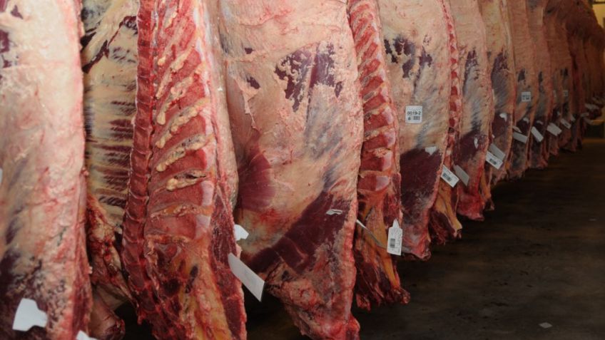 Los frigoríficos esperan exportar carne a EE.UU. antes de fin de año