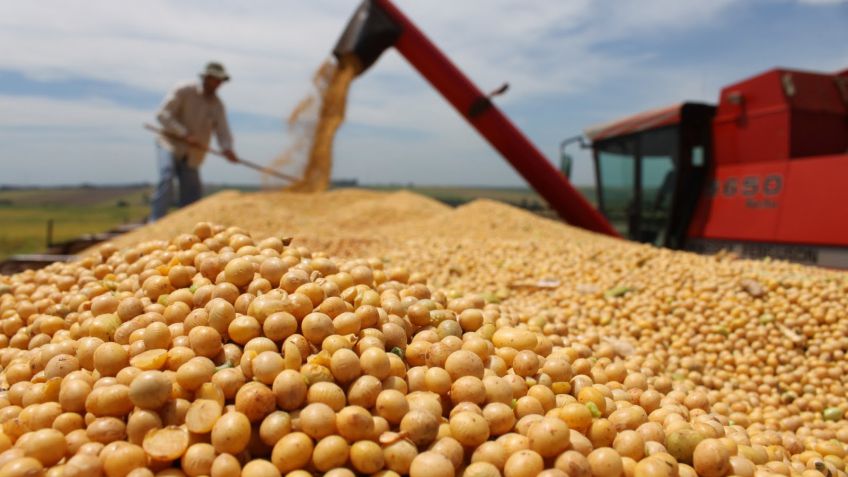 Mercados: porqué Sudamérica puede darle un plus al precio de la soja