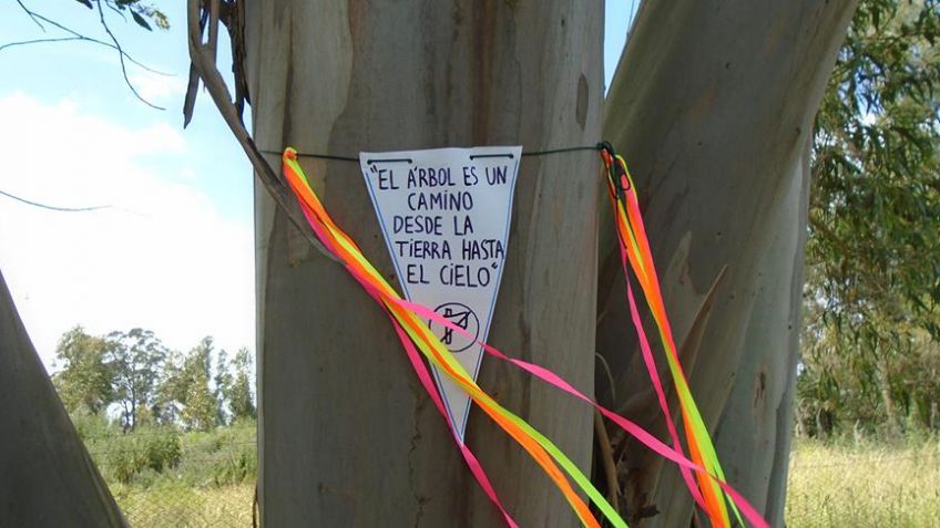 El Grupo DEAR peticiona pero Tassara no responde y el desmonte avanza