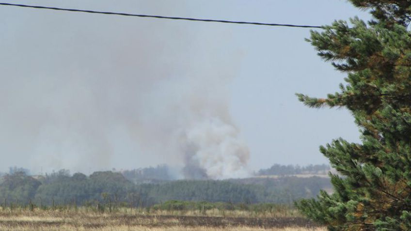 Ante importante incendio en Cerro Leones piden extremar las medidas de precaución