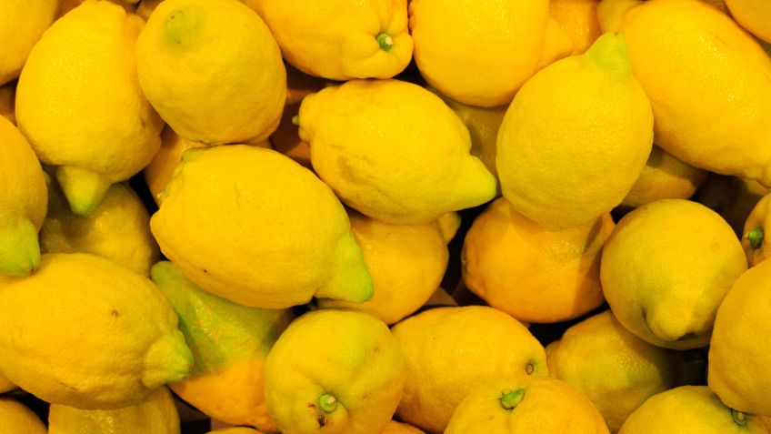 El limón argentino ingresará al mercado estadounidense en 2017