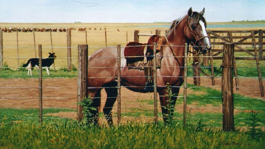 Alertan por un parásito que apareció en caballos en la Provincia