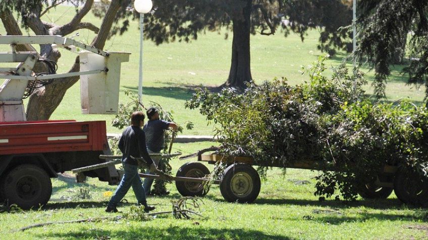 Los trabajadores de espacios verdes públicos inician una medida de fuerza