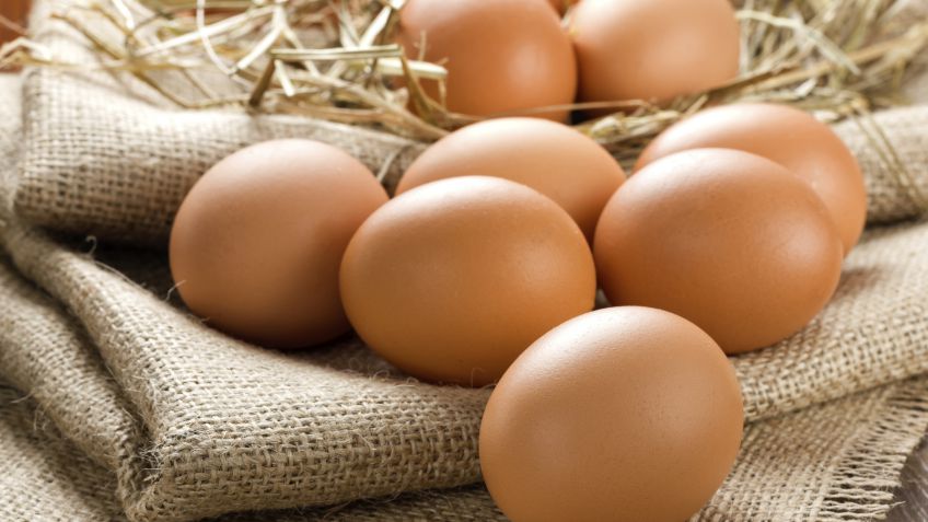 El 50% de las enfermedades transmitidas por alimentos se originan en las casas, sobre todo en verano