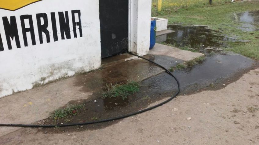 Intentaron robar en el predio de Santamarina
