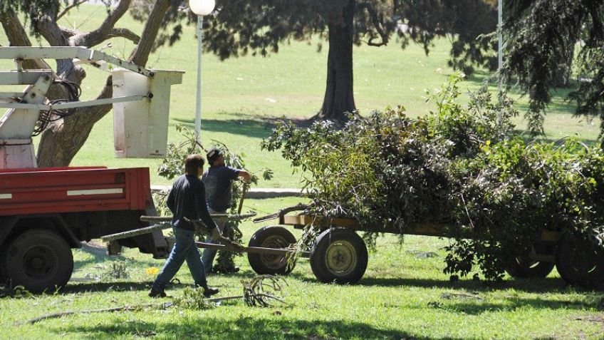 Desafectaron al Coordinador del área de Espacios Verdes Públicos