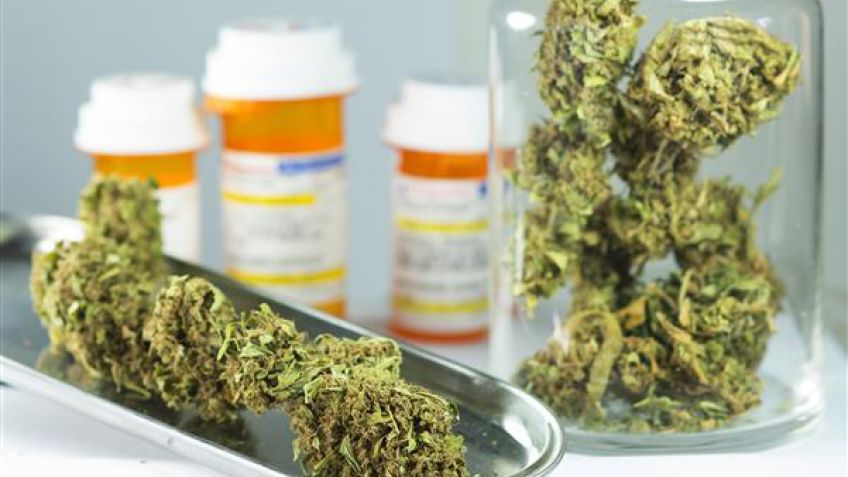 Los usos del cannabis sativa (marihuana) y su impacto sobre el corazón