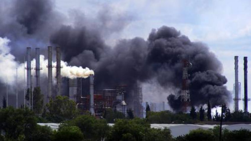 Cambiemos... luz por contaminación y muerte