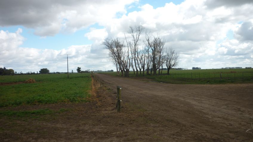Estamos encerrados en una ecuación donde somos caros