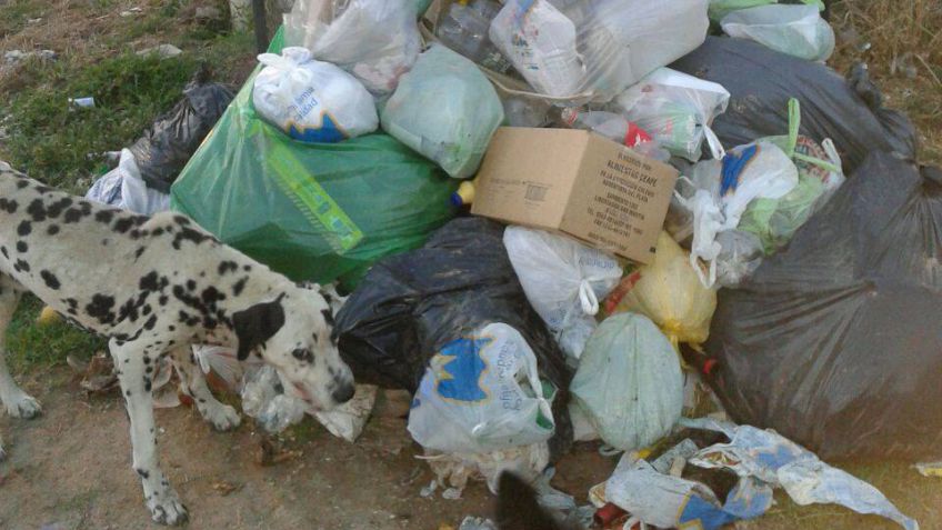 Denuncian que desde hace más de una semana no pasan los recolectores