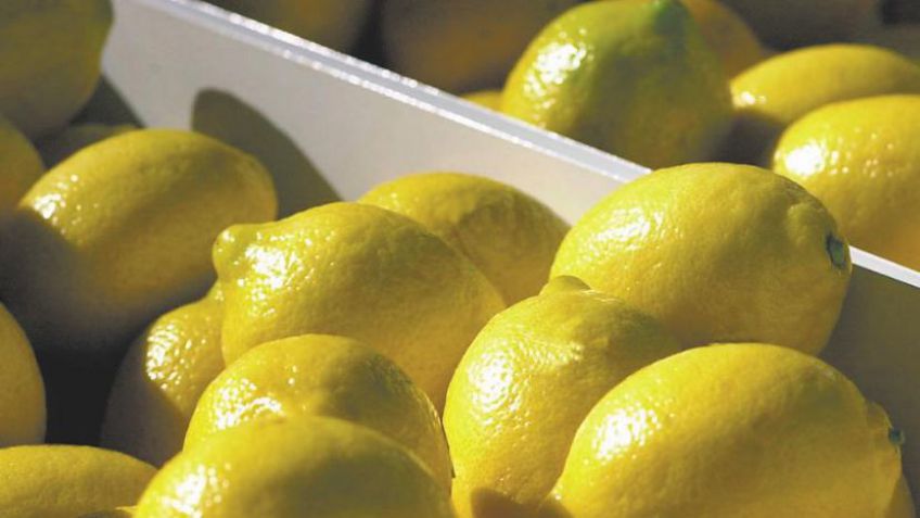 La restricción al ingreso de limones demora el comercio con otros mercados