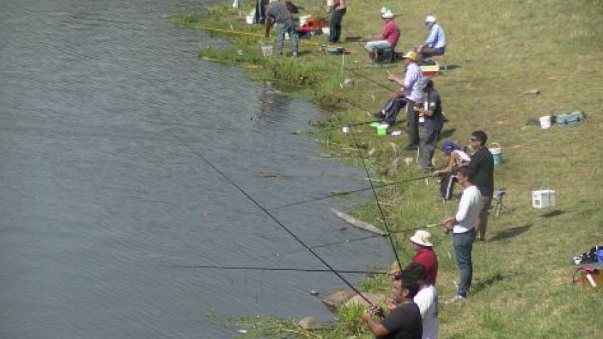 Comienza la actividad de pesca en el CNF