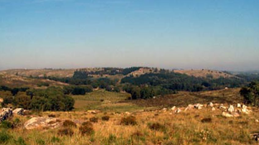 No muy cool: el dueño del country "Chacras del Golf" procesado por usurpación