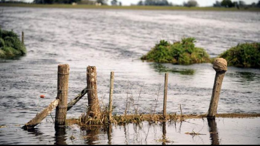 Declararon la emergencia agropecuaria en seis provincias