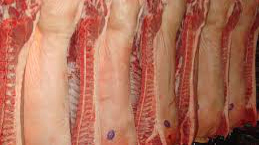El sector porcino alcanzó el año pasado un nuevo récord histórico en producción y consumo interno