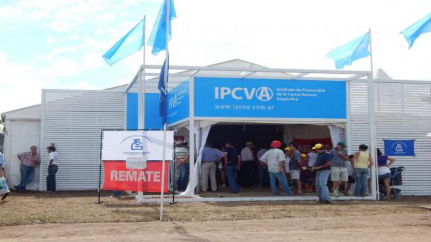 A pura ganadería en Expoagro