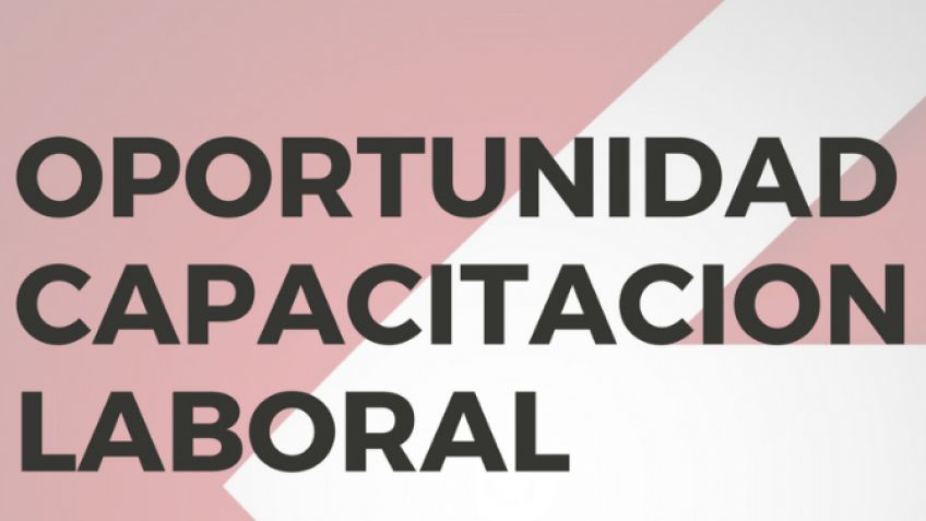 La Oficina de Empleo busca jóvenes para importante empresa de software