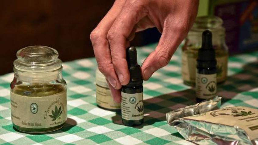 Diputados aprobaron el uso medicinal del aceite de cannabis y el proyecto vuelve al Senado