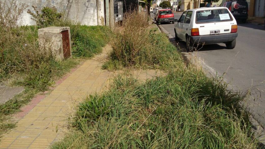 Vereda intransitable