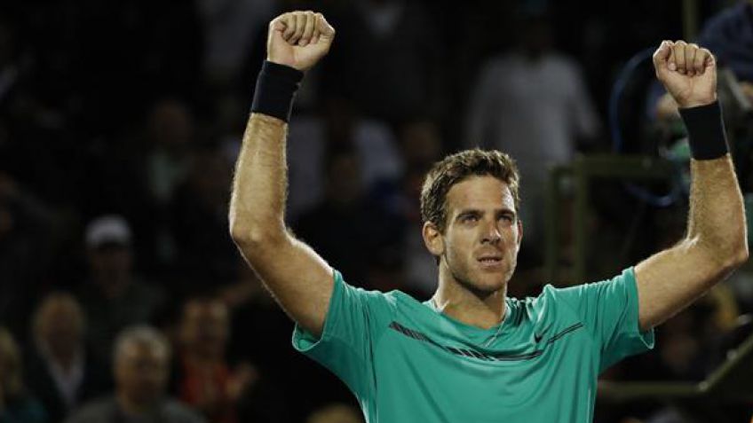 Del Potro venció a Haase y se viene Federer