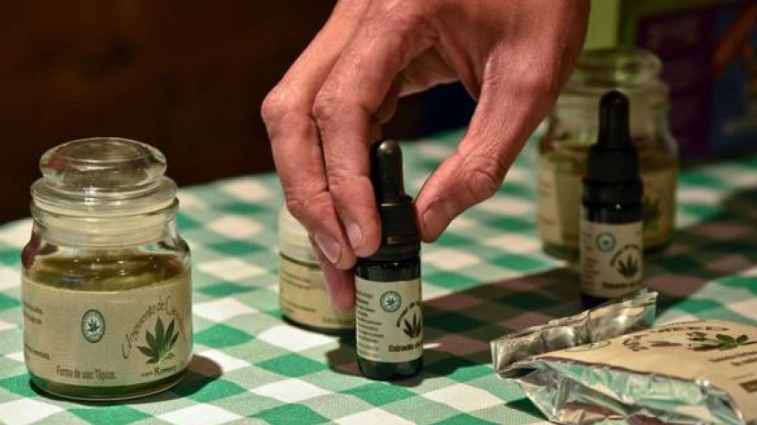 Tras la legalización del cannabis medicinal, se hará una charla en el Centro Cultural Universitario