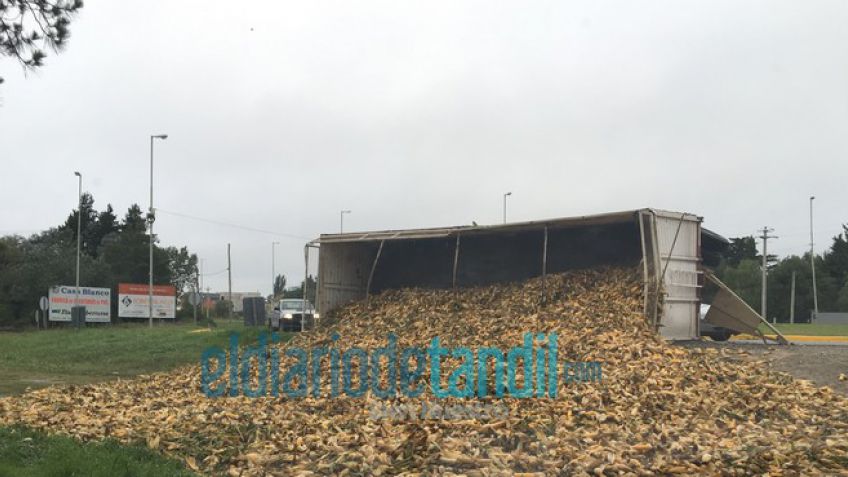 Camión derramó su carga tras volcar acoplado