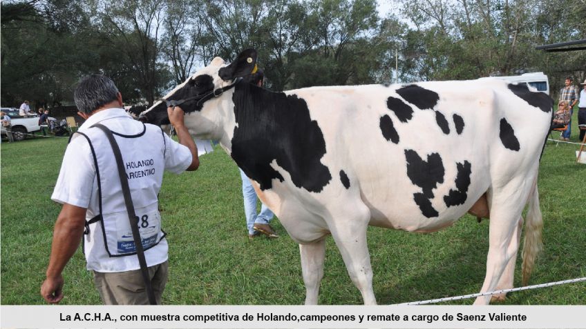 Nuestra Muestra