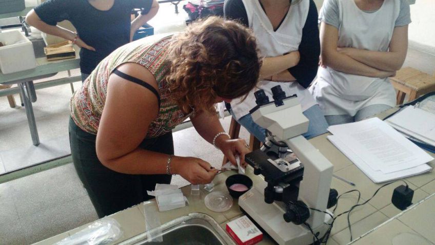 "Los trabajos prácticos como una herramienta hacia la alfabetización científica"
