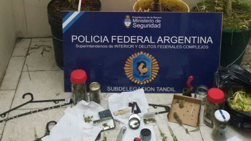 Secuestraron marihuana, éxtasis y LSD en un allanamiento