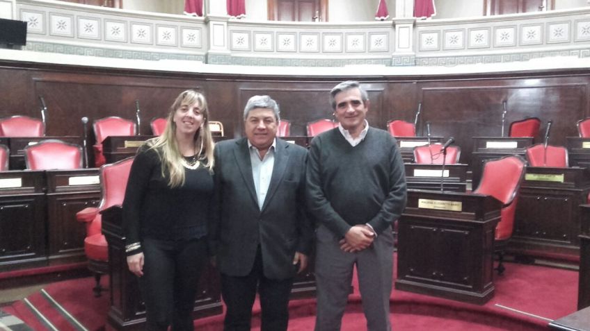 El proyecto de licencias por maternidad de concejalas llegó al Senado