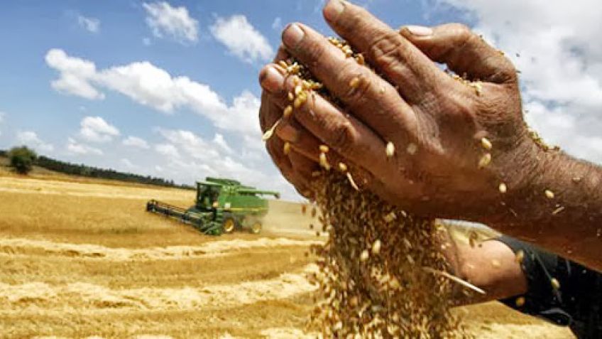 Para Agroindustria, "pese a las inundaciones la cosecha superará las 130 Mtn"