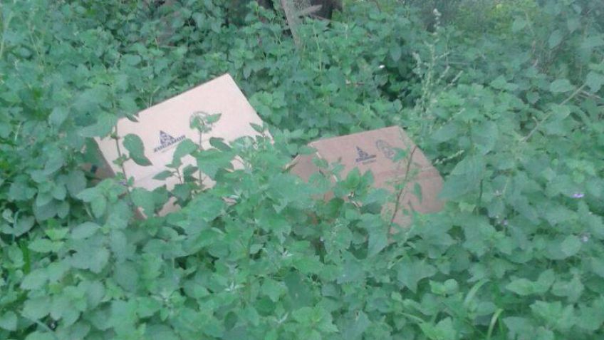 Vecinos de calle Entre Ríos se quejan por la basura