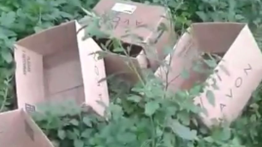 Vecinos de calle Entre Ríos se quejan por la basura