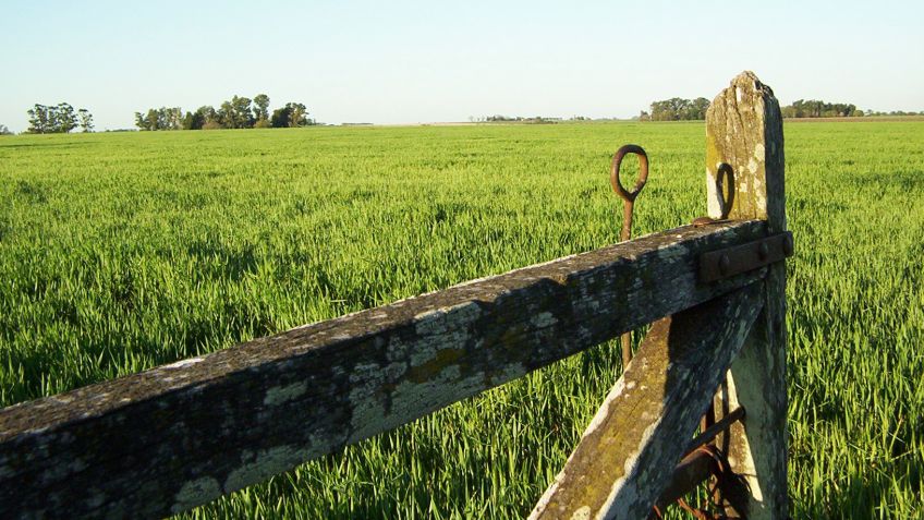 Según una encuesta de CREA "El campo crece en producción, inversión y sostenibilidad"