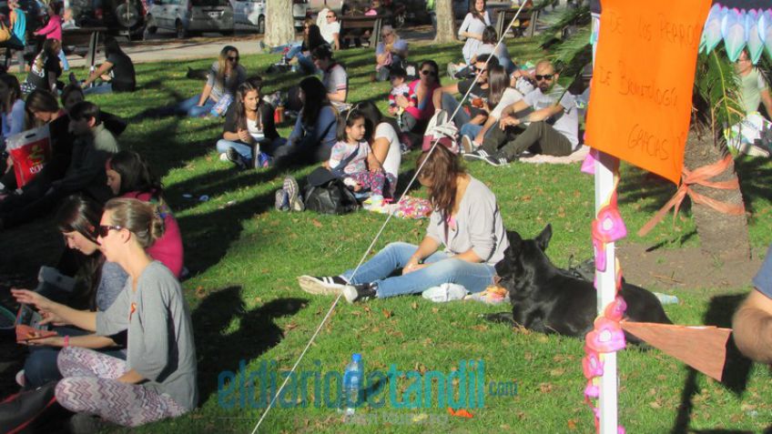 En el día del animal, Romay pidió mayor intervención de la Justicia y el Municipio en los casos de maltrato