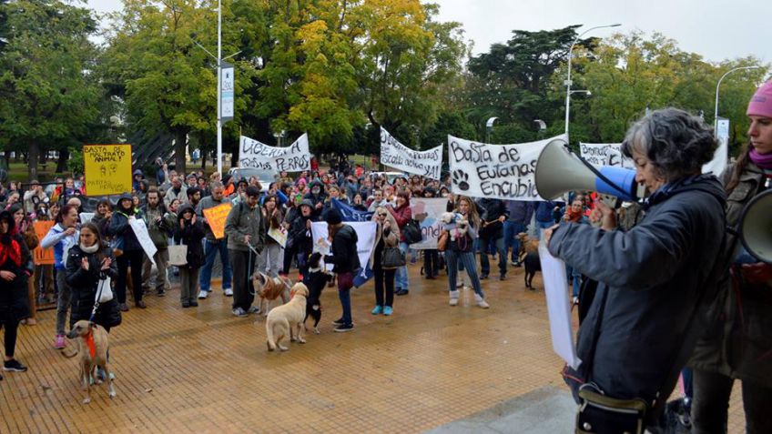Convocan a una marcha contra el maltrato animal