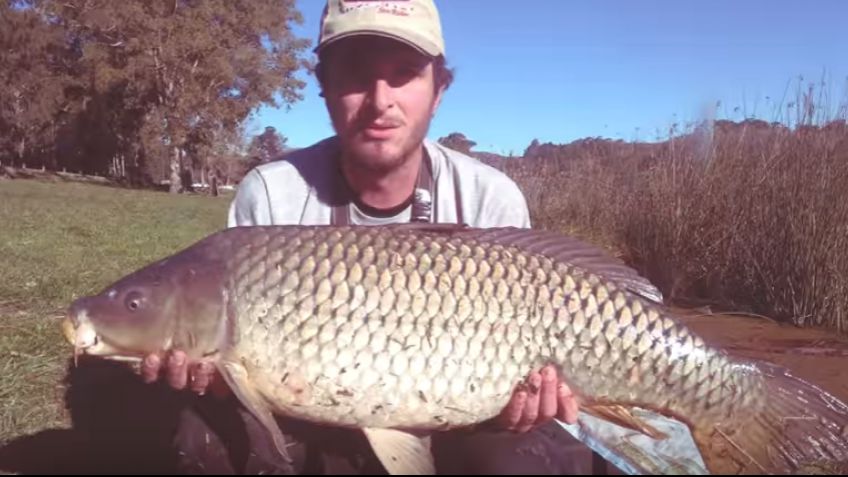 En el Dique pescaron una carpa de más de 13 kilos