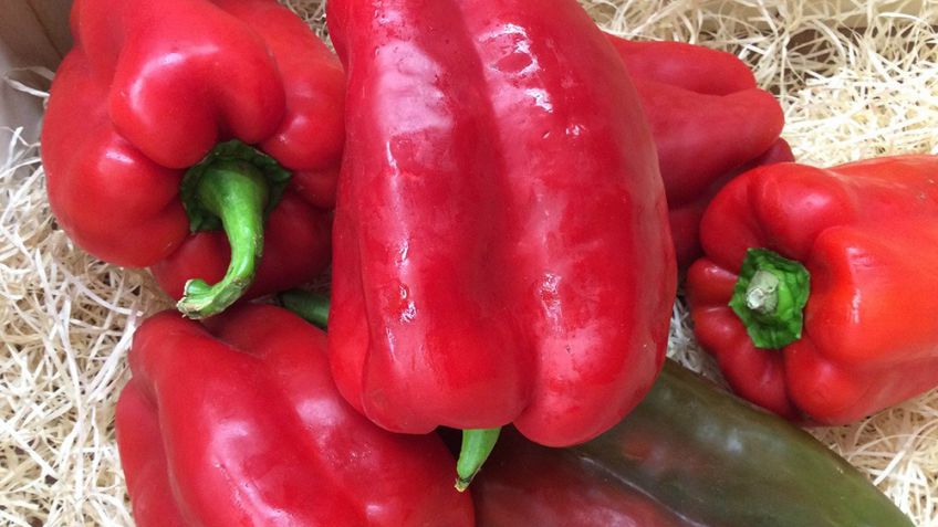 La brecha de precios de los productos agropecuarios aumentó 5.56 veces en abril