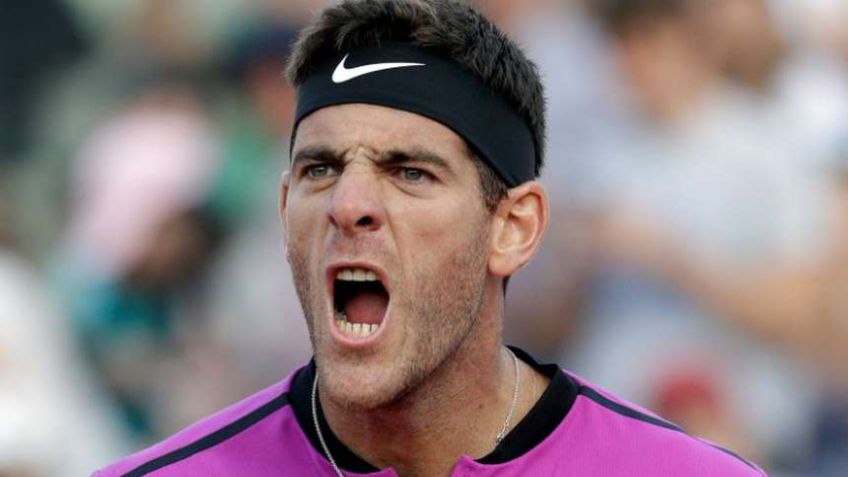 Del Potro sacó a Nishikori y lo espera Djokovic