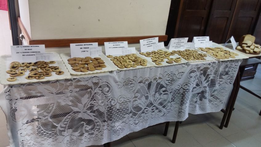 Actividades sobre celiaquía en la Facultad de Agronomía 