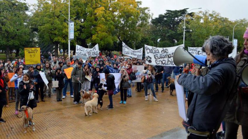 El sábado marcharán contra el maltrato animal