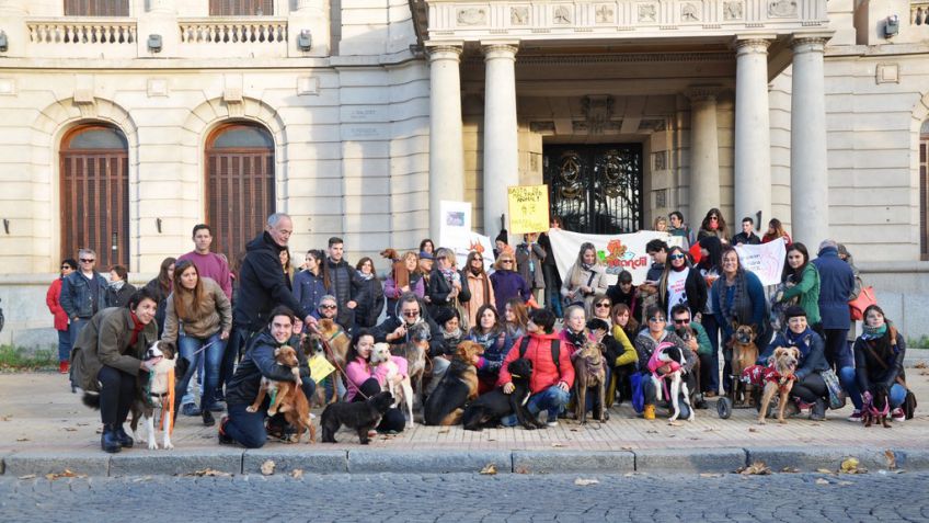 "Los animales no pueden esperar"