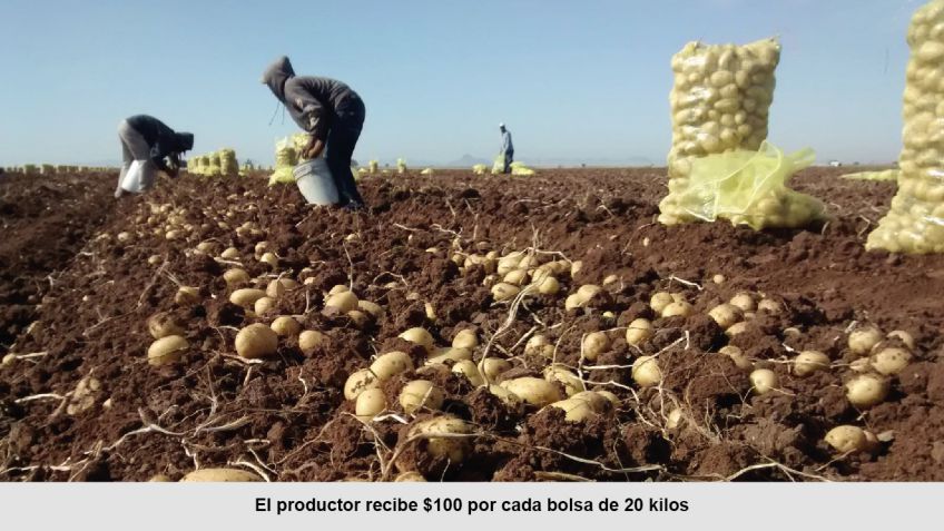 ¿La salida o el tren de frente?