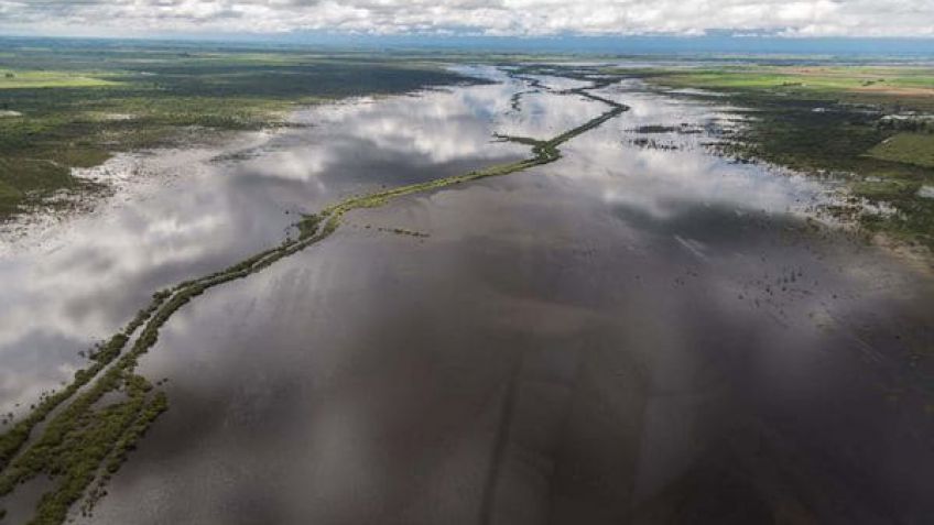 Aiello: "En la región pampeana llueve más y eso es consecuencia del cambio climático"