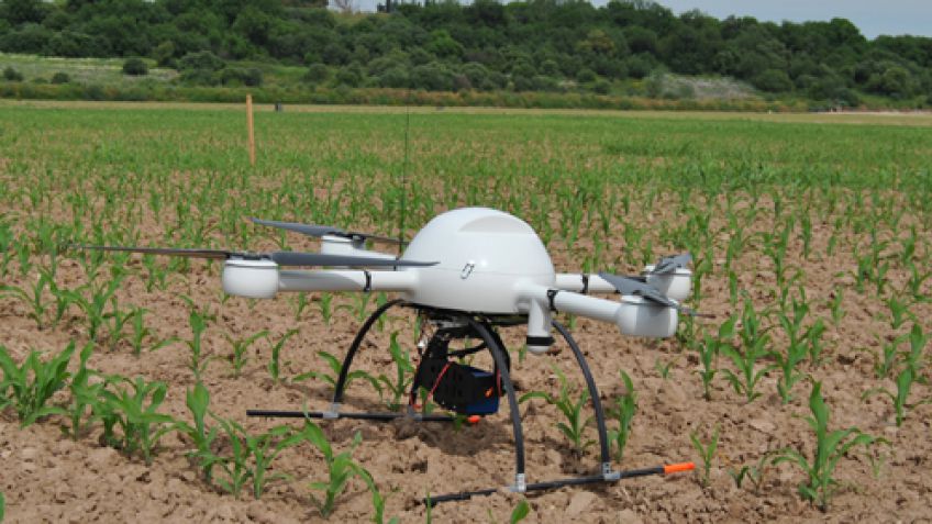 Drones: aliados para un manejo eficiente en la producción agropecuaria