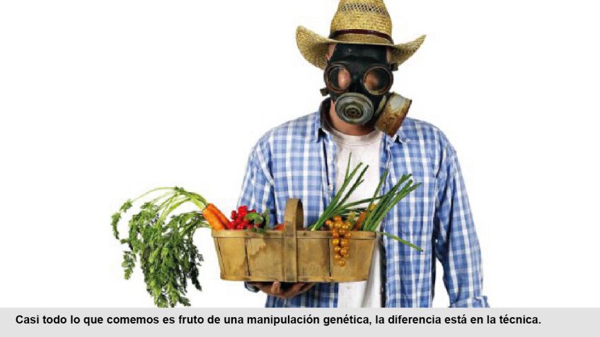 Intoxicarse despacito, suavecito