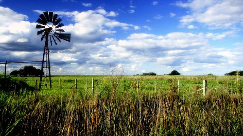 El negocio agrícola: ¿conviene dar el campo en alquiler?