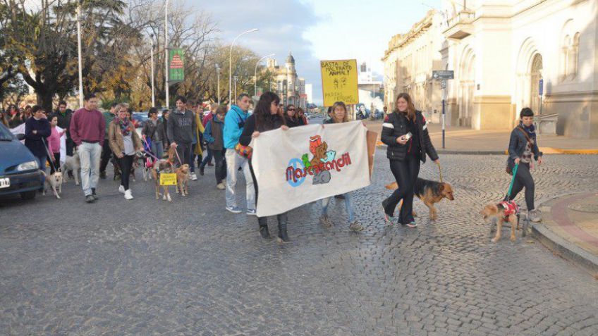El Municipio se hará cargo de las deudas de Mascotandil en veterinarias